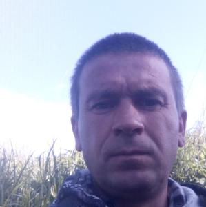 Николай, 45 лет, Шадринск