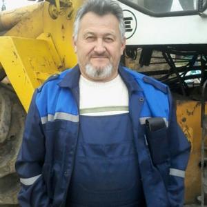 Роман, 60 лет, Челябинск