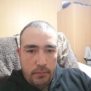 Саша, 43 года, Калининград