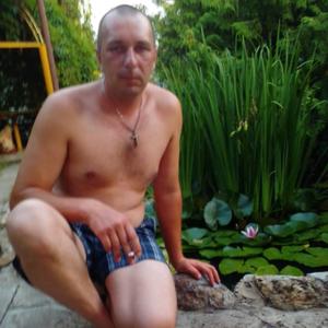 Николай, 40 лет, Новый Оскол