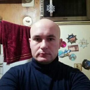 Станислав, 38 лет, Чехов-1