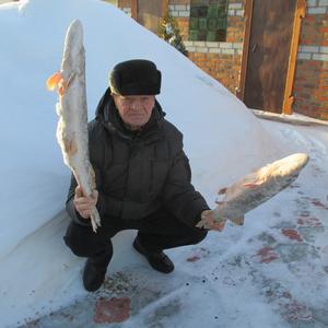 Aлександр, 69 лет, Омск