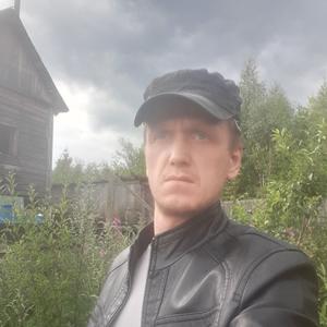 Владимир, 35 лет, Петрозаводск
