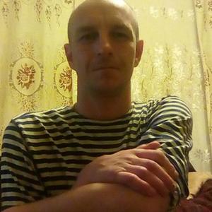 Алексей, 46 лет, Щекино