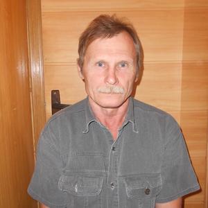 Андрей, 63 года, Ярославль