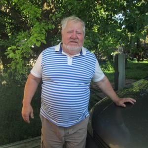 Александр, 80 лет, Курск