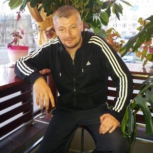 Евгений Семенов, 54 года, Ярославль