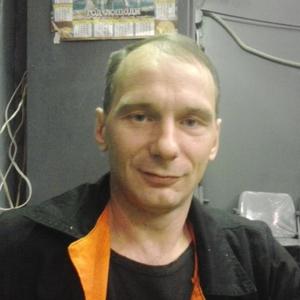 Владимир Литвиненко, 52 года, Нижний Тагил