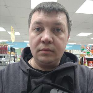 Михаил, 37 лет, Йошкар-Ола