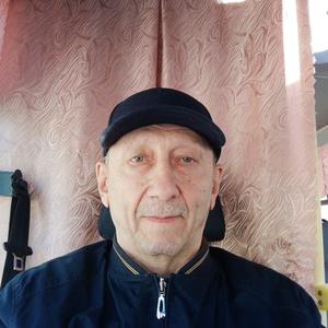 Владимир, 69 лет, Москва