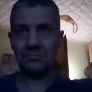 Denis, 46 лет, Череповец