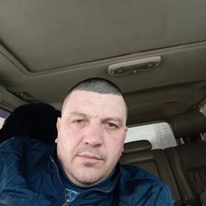 Ленар, 38 лет, Ватутинки