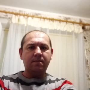 Анатолий, 41 год, Брест