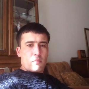Баха, 36 лет, Калининград