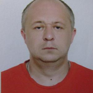 Алексей, 43 года, Зарайск
