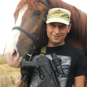 Дмитрий, 43 года, Ростов-на-Дону