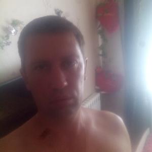 Андрей, 46 лет, Липецк