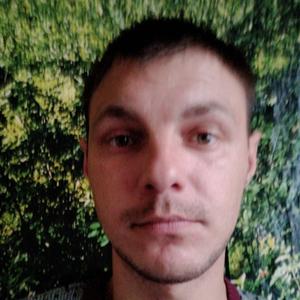 Сергей, 33 года, Семилуки