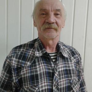 Игорь Мальковский, 63 года, Красноярск