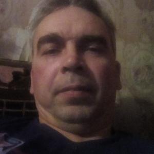 Андрей, 46 лет, Владимир