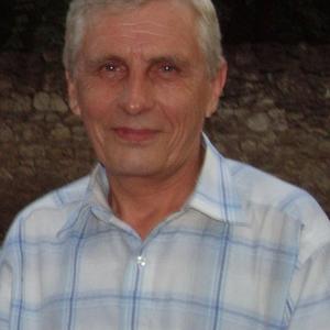 Анатолий Спиридонов, 74 года, Таганрог