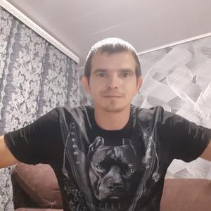 Виктор, 36 лет, Домодедово