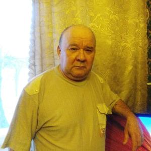 Игорь, 70 лет, Подольск