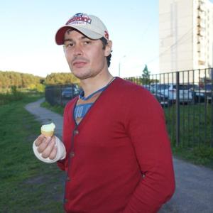 Михаил, 38 лет, Ярославль