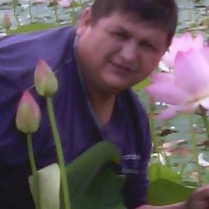 Аркадий, 55 лет, Новосибирск