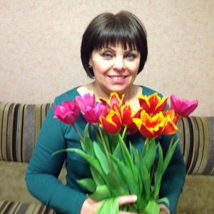 Елена, 64 года, Ставрополь