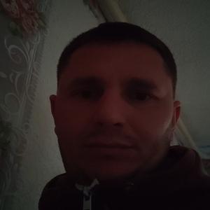 Сергей, 38 лет, Викулово