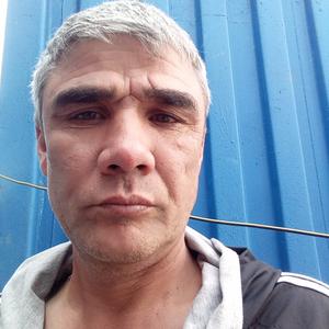 Зариф, 54 года, Новосибирск