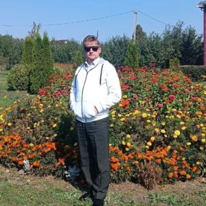Виктор, 54 года, Волоконовка