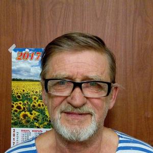 Владимир, 74 года, Москва