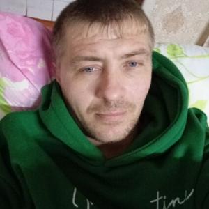 Олег Жгулёв, 38 лет, Киров