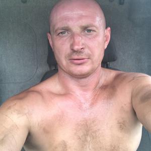 Ёжик, 38 лет, Сергач