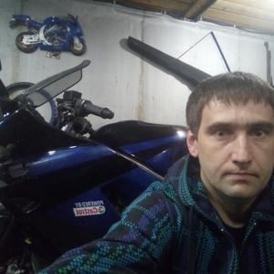Максим, 43 года, Светогорск