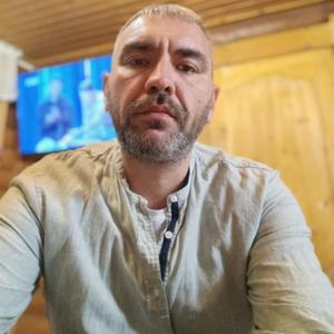 Александр, 39 лет, Калининград