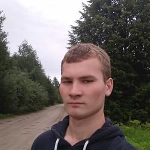 Дима, 24 года, Полоцк