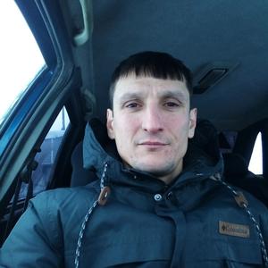 Стёпа, 40 лет, Барнаул