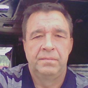 Александр Волков, 54 года, Челябинск