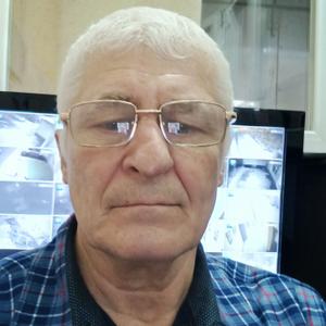 Геннадий, 63 года, Дальнереченск