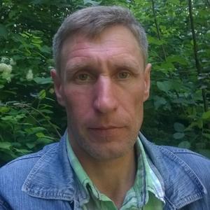Viktor, 49 лет, Петрозаводск