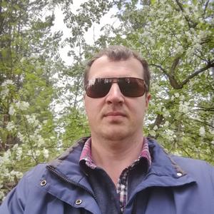 Сергей, 43 года, Котлас