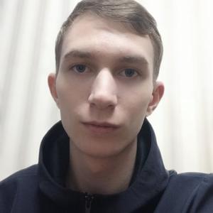 Дмитрий, 20 лет, Тольятти