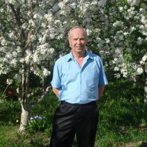 Алексей Кулякин, 70 лет, Санкт-Петербург
