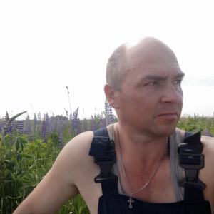 Андрей Левицкий, 52 года, Архангельск