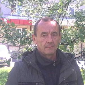 Вадим Боженков, 64 года, Междуреченск