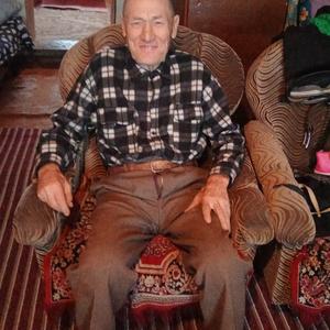 Тагир, 82 года, Нижнекамск