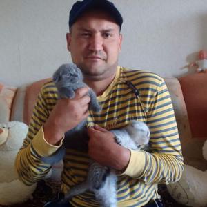 Андрей, 34 года, Могилев